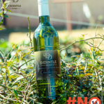 Didintle Wines Chardonnay_4 tagged