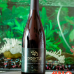 Didintle Wines Syrah_2 tagged